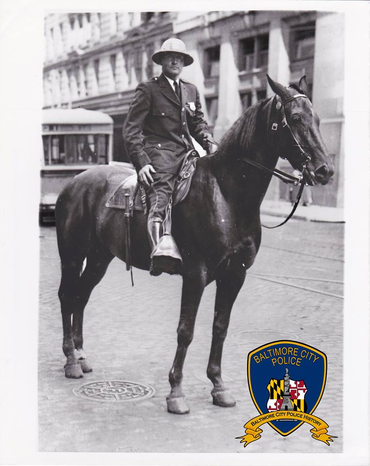 42322609 10214001786862218 6860764704042647552 n