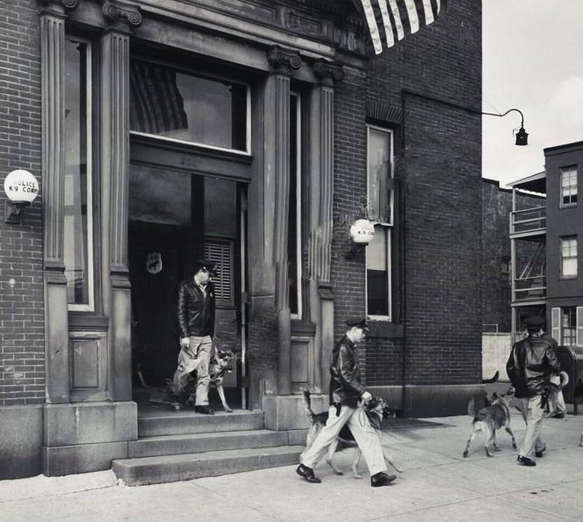 1950 K9 HQ Pratt Calhoun Sts