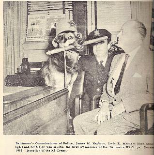 1stk9dog1956majorvongrunts