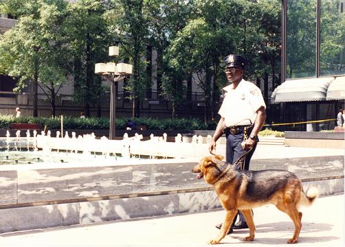 K 9