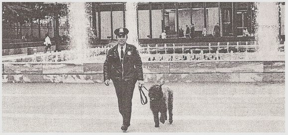 K9 b