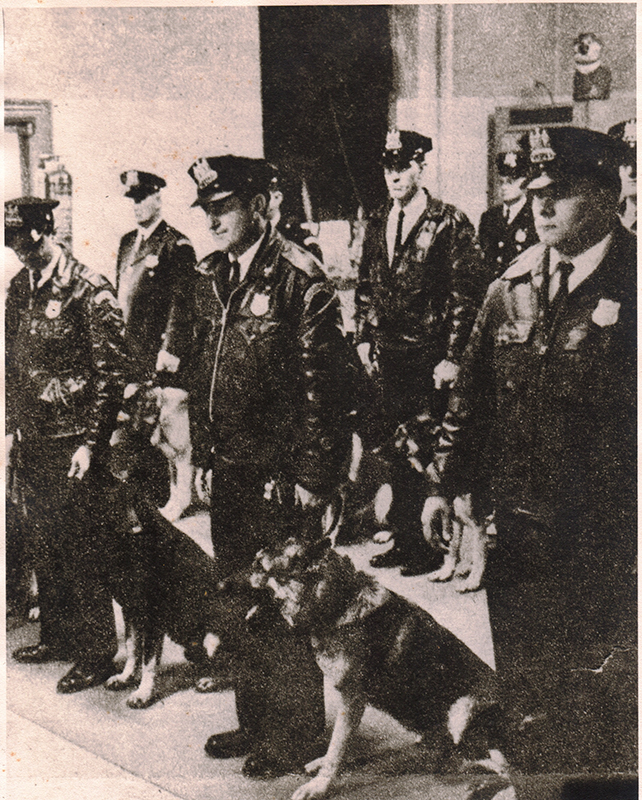 Miller K9 ad