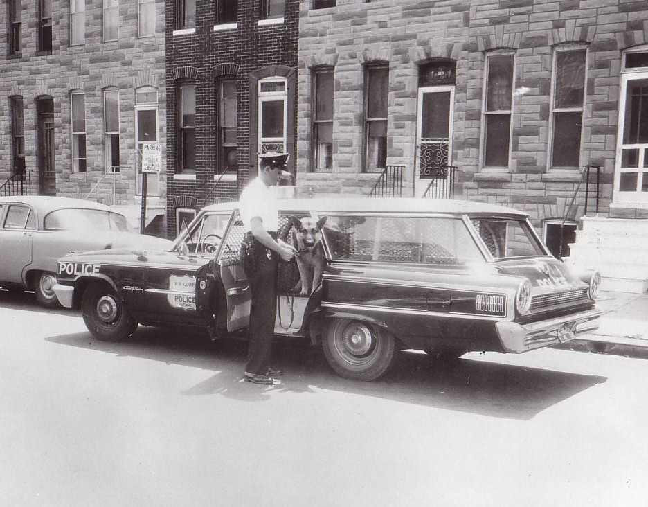 k 9unit1963