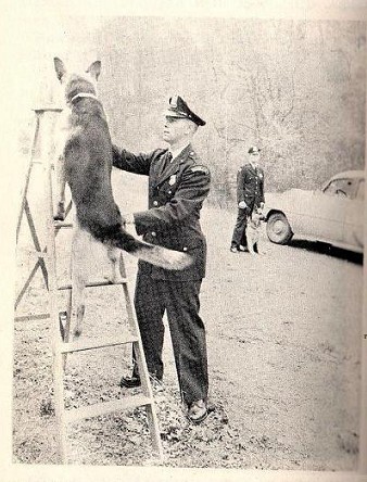 k9 3