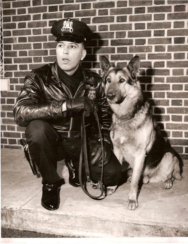 k91officer