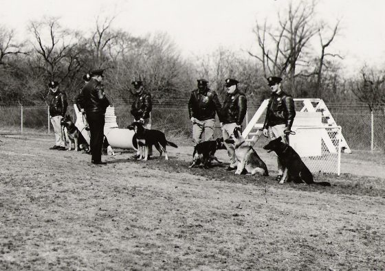 k9 training 2