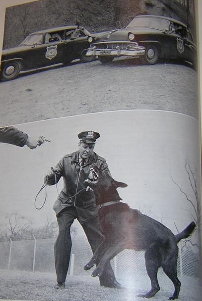 k9gun