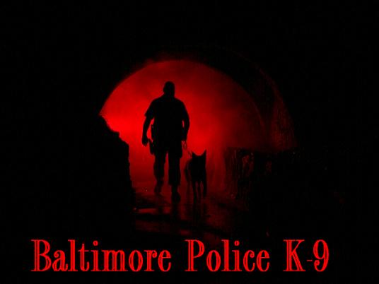 red k9