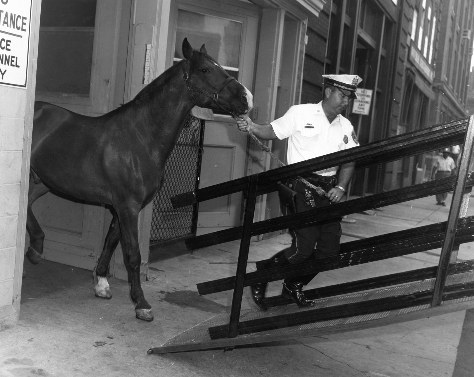 23img048