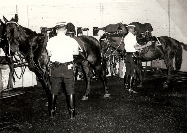mounted 72