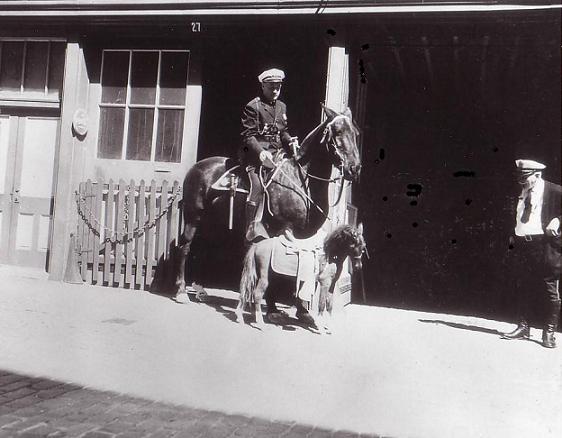 mounted mascott
