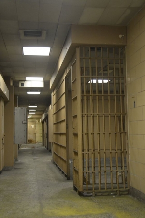 cell 1